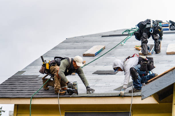 Professional Gutter Installation technician working in Martelle, IA